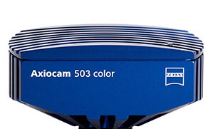 zeiss axiocam 503